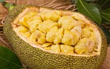 [ẢNH] Những đại kỵ khi ăn mít cần biết để tránh 