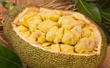 [ẢNH] Những đại kỵ khi ăn mít cần biết để tránh 