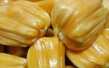 [ẢNH] Những đại kỵ khi ăn mít cần biết để tránh 