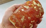 [ẢNH] Top 6 loại gia vị 
