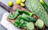 [ẢNH] Độc đáo với những món ngon được chế biến từ xương rồng