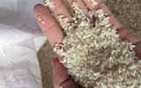 [ẢNH] Những sai lầm tai hại khi nấu khiến cơm mất hết chất dinh dưỡng
