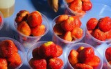 [ẢNH] Những món ngon không thể bỏ lỡ khi du lịch Đà Lạt