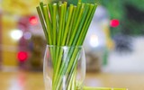 [ẢNH] Xuất hiện các kiểu ống hút ‘dị’ có thể bạn chưa từng dùng