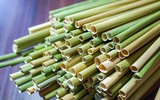 [ẢNH] Xuất hiện các kiểu ống hút ‘dị’ có thể bạn chưa từng dùng