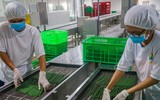 [ẢNH] Xuất hiện các kiểu ống hút ‘dị’ có thể bạn chưa từng dùng