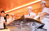 [ẢNH] Những loại cá ngon nhưng không nên ăn quá nhiều