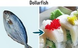 [ẢNH] Những loại cá ngon nhưng không nên ăn quá nhiều