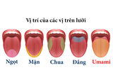 [ẢNH] Loạt món ngọt chứng tỏ độ 