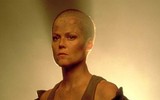 [ẢNH] Những màn cạo đầu đầy ấn tượng khi nhập vai của loạt sao nữ Hollywood