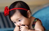 [ẢNH] Nhan sắc ‘gây bão’ của những ‘nhóc tỳ’ nhà sao Việt