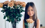 [ẢNH] Nhan sắc ‘gây bão’ của những ‘nhóc tỳ’ nhà sao Việt