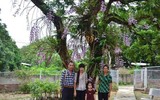 Độc đáo vườn lan huyền thoại có một không hai ở Tuyên Quang