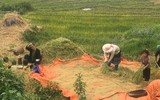 Giải Vietnam Moutain Marathon (VMM 2017) - Chinh phục đỉnh trời Sapa