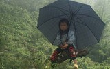 Giải Vietnam Moutain Marathon (VMM 2017) - Chinh phục đỉnh trời Sapa