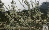 Sẻ chia hơi ấm với học trò, trẻ em nghèo vùng cao