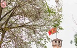 Hà Nội đẹp dịu dàng trong sắc trắng hoa sưa