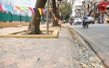 Hà Nội đẹp dịu dàng trong sắc trắng hoa sưa
