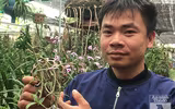 Cận cảnh 