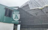 Cận mặt kẻ trộm lan táo tợn tại Hòa Bình lấy sạch toàn bộ lan đột biến trị giá 2,9 tỷ đồng