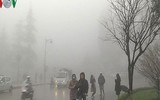 [Ảnh] Cảnh rét mướt 