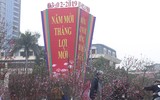 Phố phường Hà Nội ngập tràn không khí Tết