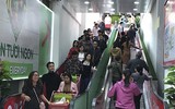 Phố phường Hà Nội ngập tràn không khí Tết