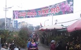 Phố phường Hà Nội ngập tràn không khí Tết