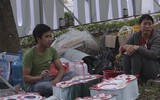 Phố phường Hà Nội ngập tràn không khí Tết