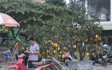 Phố phường Hà Nội ngập tràn không khí Tết