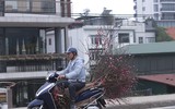 Phố phường Hà Nội ngập tràn không khí Tết