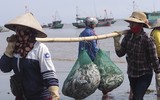 [Ảnh] Lao xao chợ cá một vùng quê miền biển