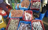 [Ảnh] Lao xao chợ cá một vùng quê miền biển