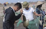 [Ảnh] Lao xao chợ cá một vùng quê miền biển