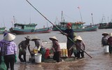 [Ảnh] Lao xao chợ cá một vùng quê miền biển