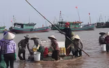 [Ảnh] Lao xao chợ cá một vùng quê miền biển
