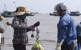 [Ảnh] Lao xao chợ cá một vùng quê miền biển
