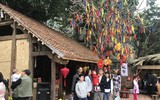 Mùng 1, Hội chữ Xuân Mậu Tuất tấp nập người, ông đồ mỏi tay viết