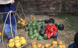 Mùng 1, Hội chữ Xuân Mậu Tuất tấp nập người, ông đồ mỏi tay viết