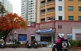 Bất ngờ bắt gặp 'rừng' lá đỏ Hàn Quốc xuất hiện đầy mê hoặc giữa Hà Nội