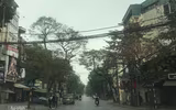 Có một buổi sáng Hà Nội vốn thân quen mà bỗng rất lạ