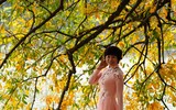 Lộc vừng cổ thụ hồ Gươm đổ lá vàng, đẹp như mơ