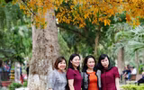 Lộc vừng cổ thụ hồ Gươm đổ lá vàng, đẹp như mơ