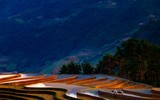 Ngắm những bức ảnh cực đẹp tại Triển lãm 