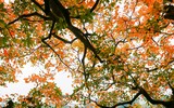 Ngắm những bức ảnh cực đẹp tại Triển lãm 