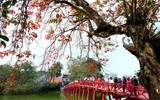 Ngắm những bức ảnh cực đẹp tại Triển lãm 