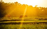 Ngắm những bức ảnh cực đẹp tại Triển lãm 