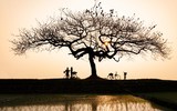 Ngắm những bức ảnh cực đẹp tại Triển lãm 