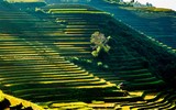 Ngắm những bức ảnh cực đẹp tại Triển lãm 
