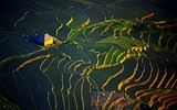 Ngắm những bức ảnh cực đẹp tại Triển lãm 